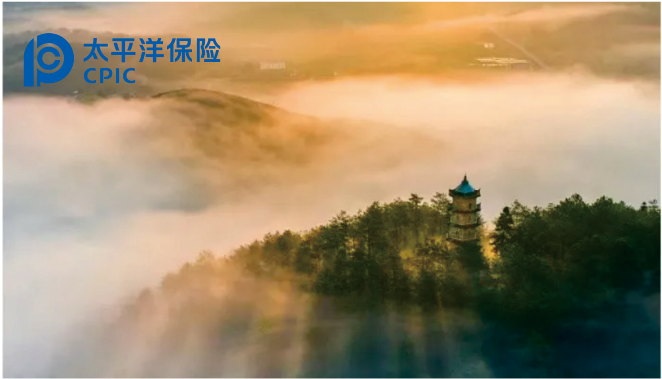 交强险不等于全部保障!一文理清强制险和商业车险的定位区别